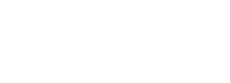 Designfusion Logo