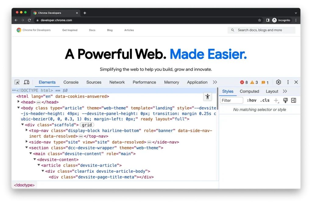 Chrome Dev Tool